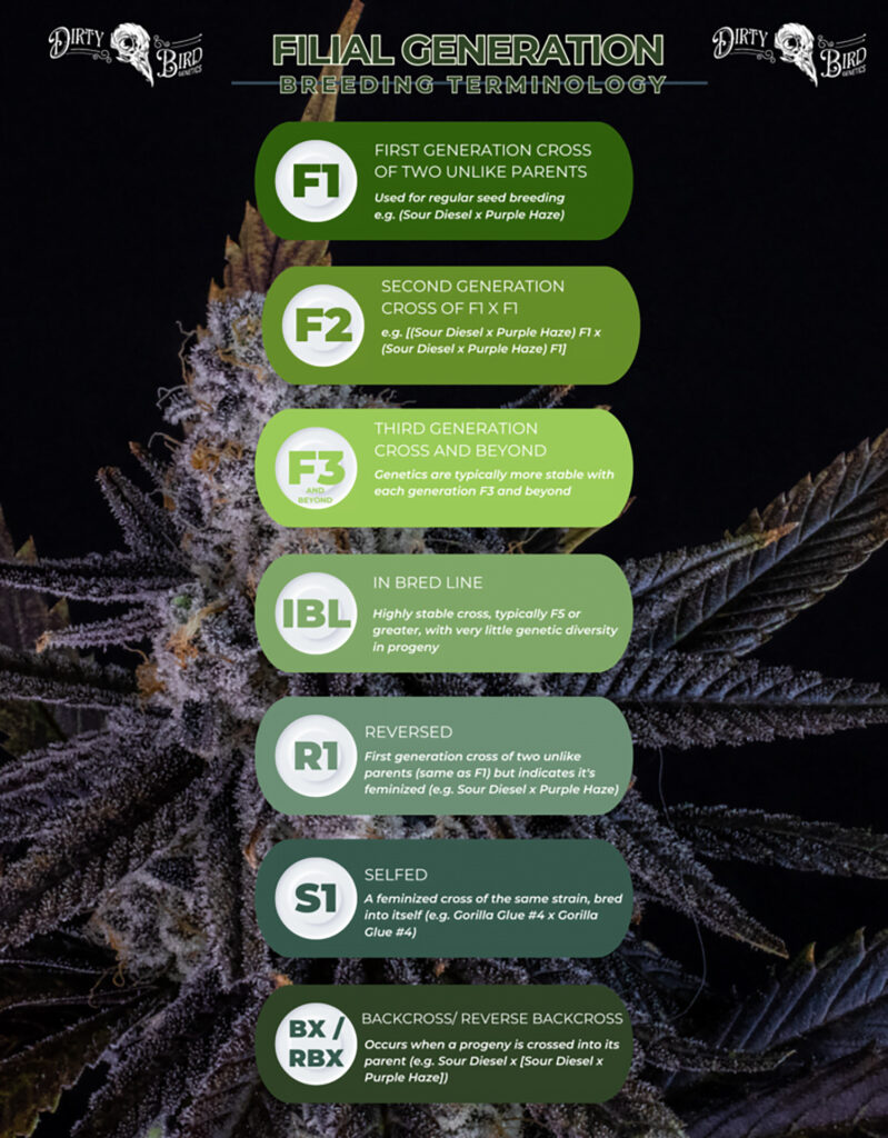Cannabis Labels