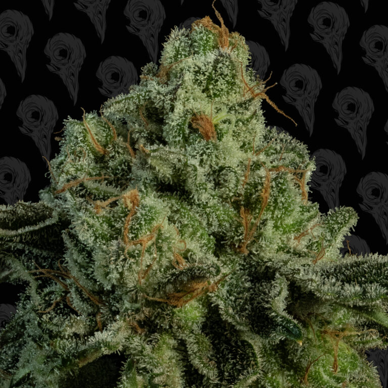 profile-frosted-volcano